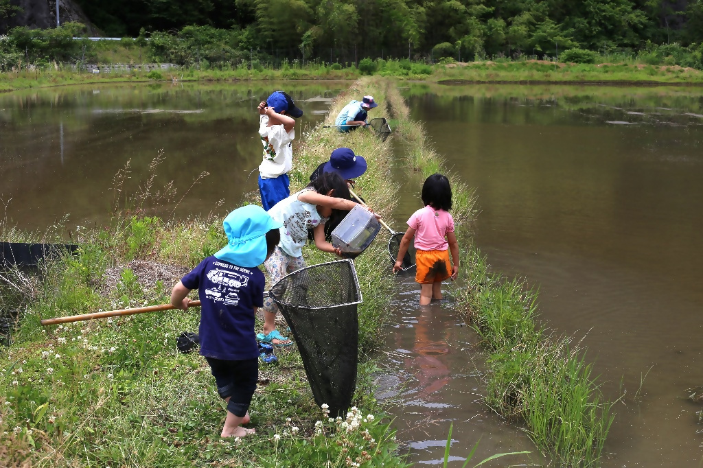 エーゼロ株式会社
