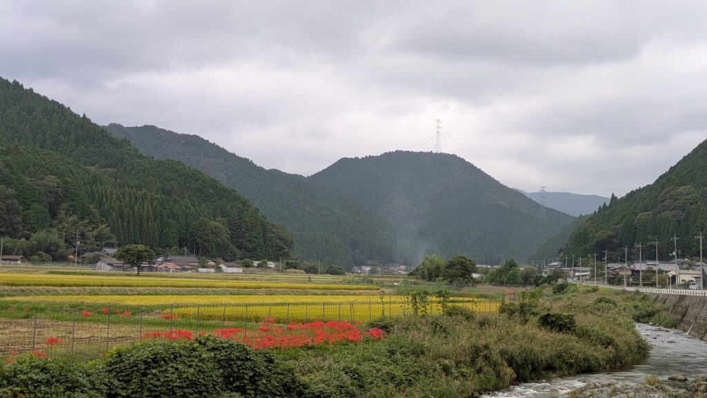 西粟倉村への移住で失敗したと感じるパターンと対策