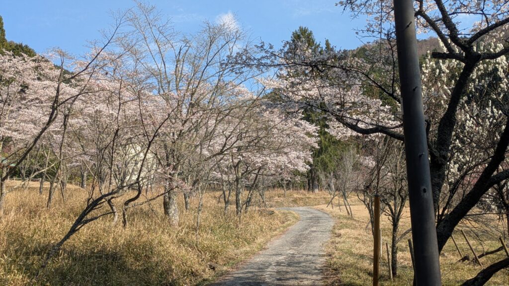 西粟倉村の春の風景