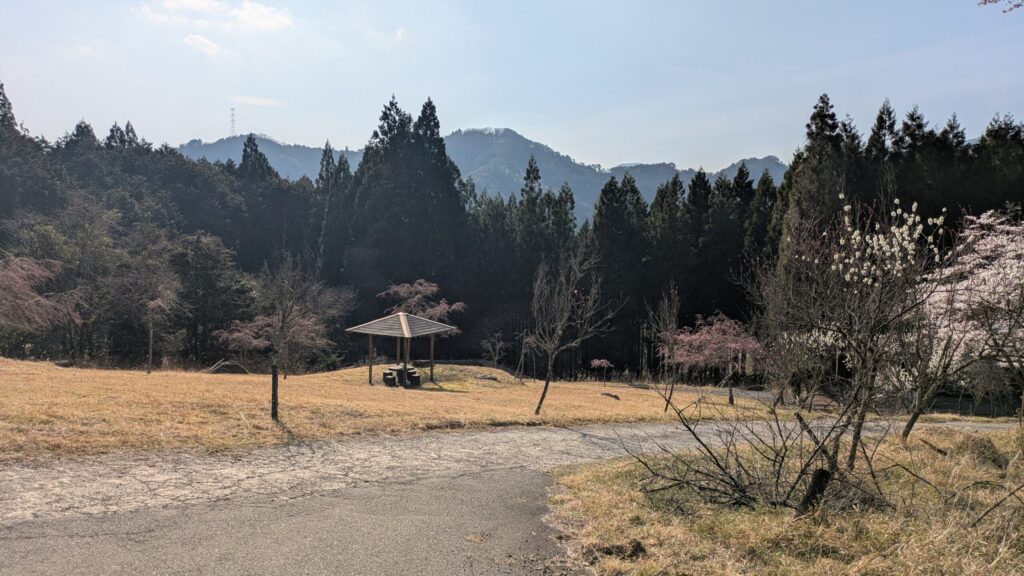 西粟倉村の公園と山並み