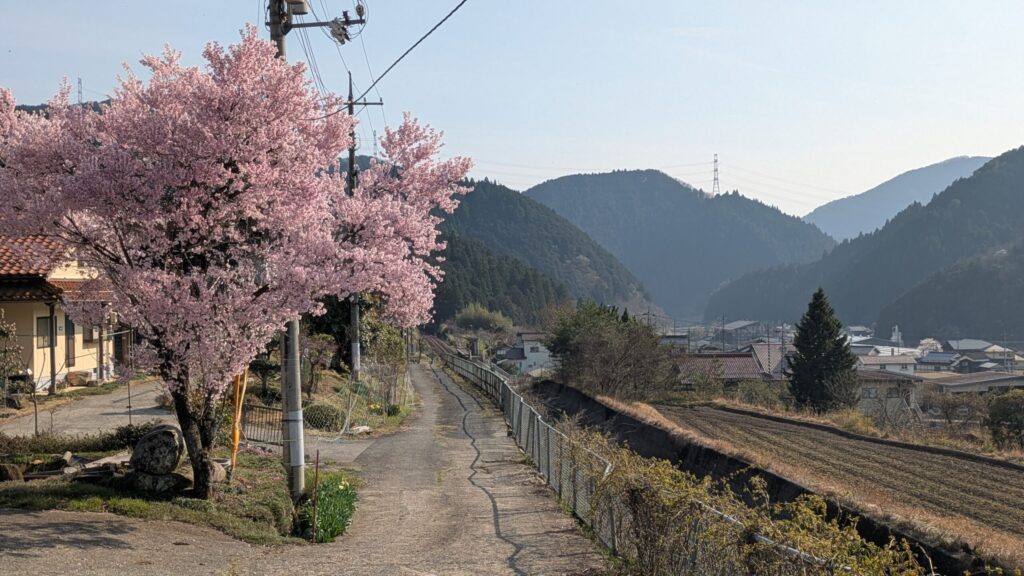 西粟倉村の春の集落と桜